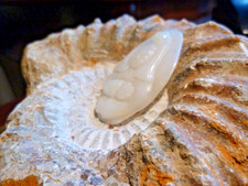 China wunderschöner heller