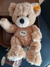 Steiff Teddybär Fynn  NEU im