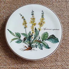 V&B BOTANICA  Untersetzer  Ø