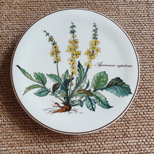 Botanica untersetzer ø - v&b,