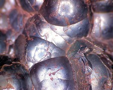 Harz Minerale  roter Glaskopf