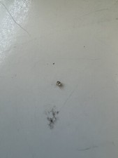 Echter Diamant aus dem