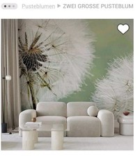 Fototapete Pusteblume 300x231cm