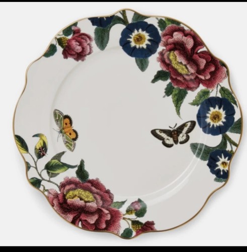 Spode creatures curiosity - spode, of