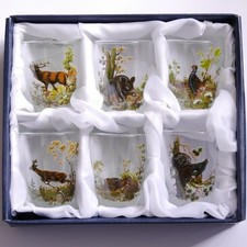 6 teiliges Schnaps Gläser Set