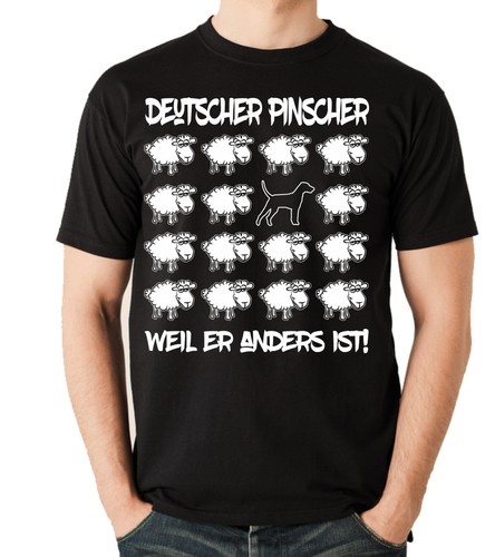 Black sheep deutscher pinscher - sheep,