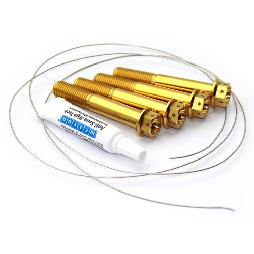 Titan bremssattelschrauben - 4,