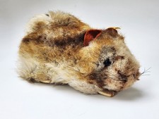 Steiff Meerschweinchen Swinny