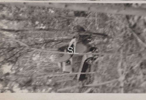 Foto wehrmacht meilensteine - wehrmacht,,