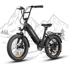 E Bike Elektrofahrrad 48V 15Ah