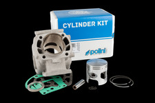 Zylinder Kit 100ccm Polini