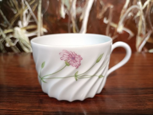 Haviland limoges france torse - haviland,