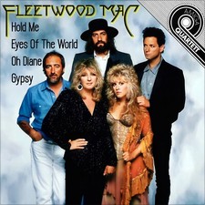 Fleetwood mac hold - fleetwood, /