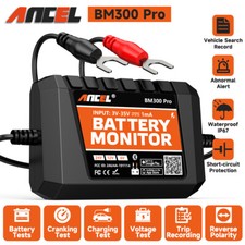 BM300PRO 6V 12V 24V KFZ