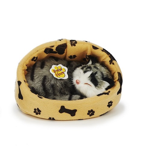 Katze korb grau - katze, cm