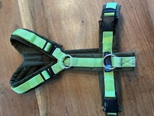 Anny X Geschirr Gr. S altes Modell ( Feb. 2017)