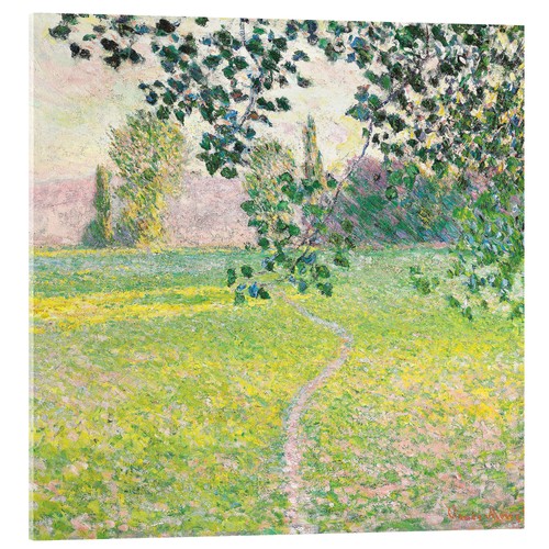 Acrylglasbild morgendliche - acrylglasbild,