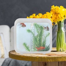  Fisch Aufzuchtbecken