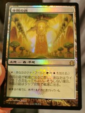 Tempelgarten / Jardin du