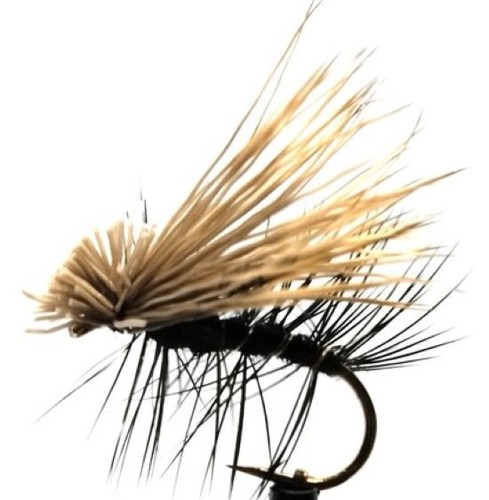 Trockenfliege elk caddis - elk,