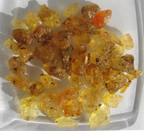 Copal kopal madagaskar - copal,