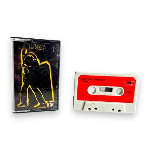 Rex electric warrior - t,