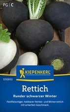 Rettich * Runder schwarzer