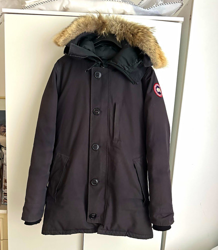 Canada goose chateau daunen - goose,
