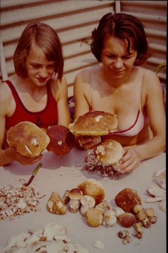 Altes ddr dia - dia, frauen