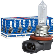 10x H9 XENOHYPE Premium