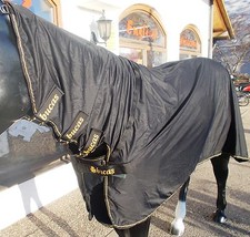 Bucas Shamrock Power Full