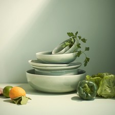 ASA SELECTION Saisons Agave