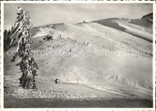 Tanzboden SG Panorama