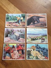 Sanella - Bilder  Sammelwerk Mittel- u. Südamerika  6 Bilder