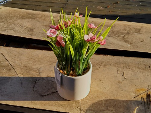 Gänseblümchen deko - gänseblümchen,