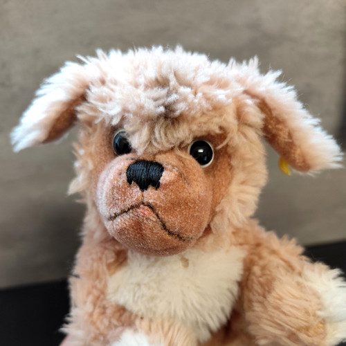 Steiff hund cosy peky - hund,