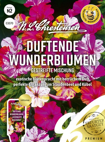 Duftende wunderblumne - duftende,