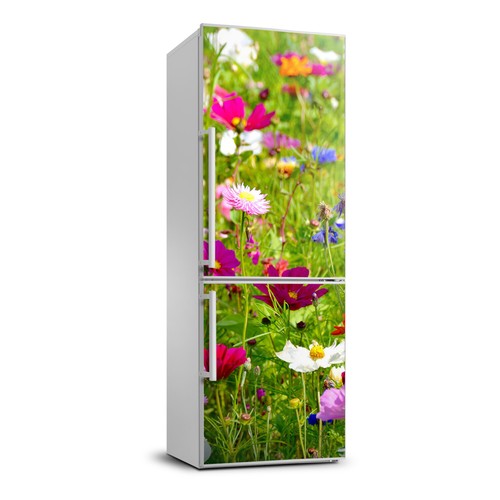Kühlschrankmagnete magnet - kühlschrankmagnete,