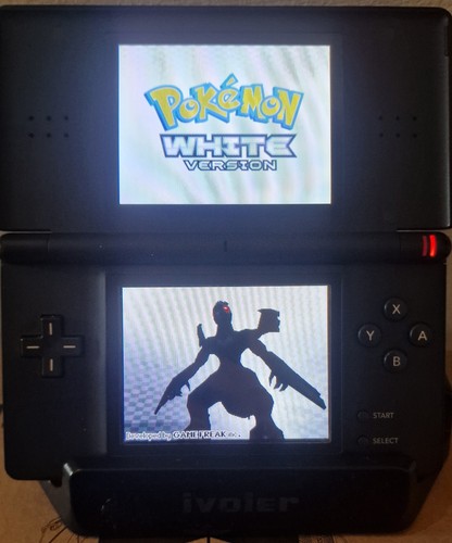 Karte für nintendods - karte,