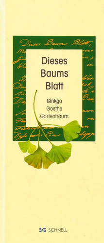 Dieses baums blatt ginkgo - baums, |