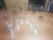 Neu 6 Stück Eichbaum