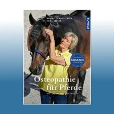 Osteopathie für pferde - osteopathie, |