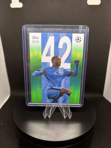 Yaya touré manchester city - yaya,