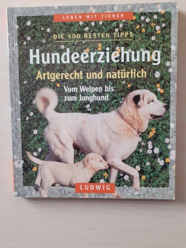 Kusch hundeerziehung - -,