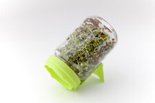 Dürr Sprossenglas  hellgrün  Sprossenbox,  inkl. 30 gr. Keimsprossen  je Glas