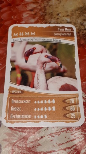 Ozeanien schätze unseres - ,