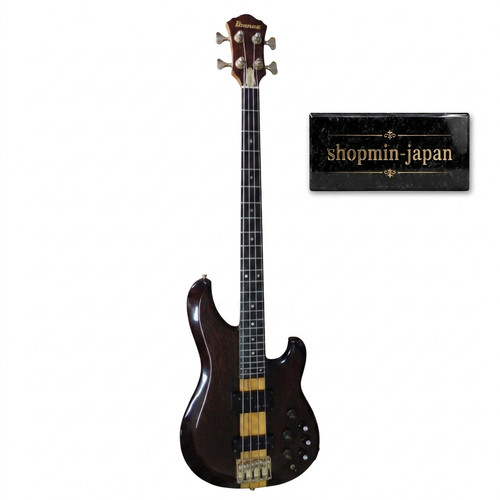 Ibanez mc924 musician bass - musician,