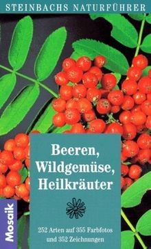 Steinbachs naturführer - steinbachs,