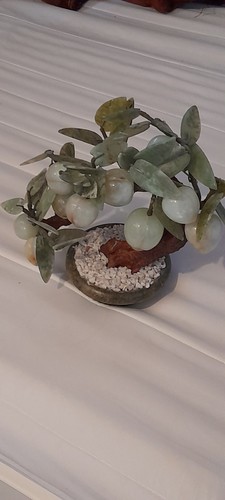 Jade baum pfirsich - baum,