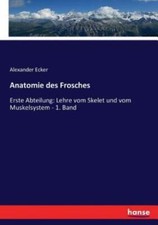 Anatomie Des Frosches